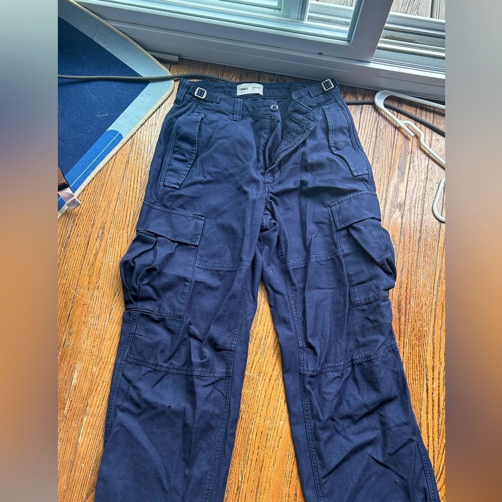 Aritzia cargo pants